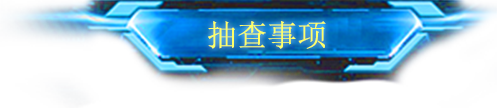 抽查事项